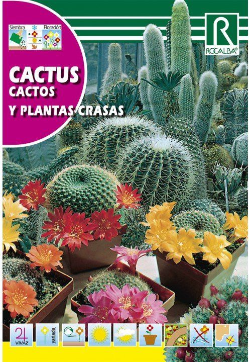 cactus