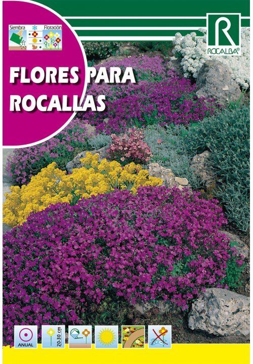 flores para rocallas