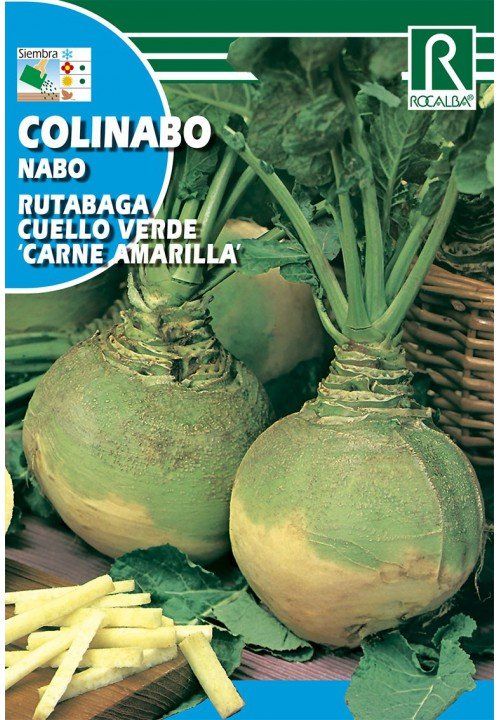 colinabo rutabaga cuello verde