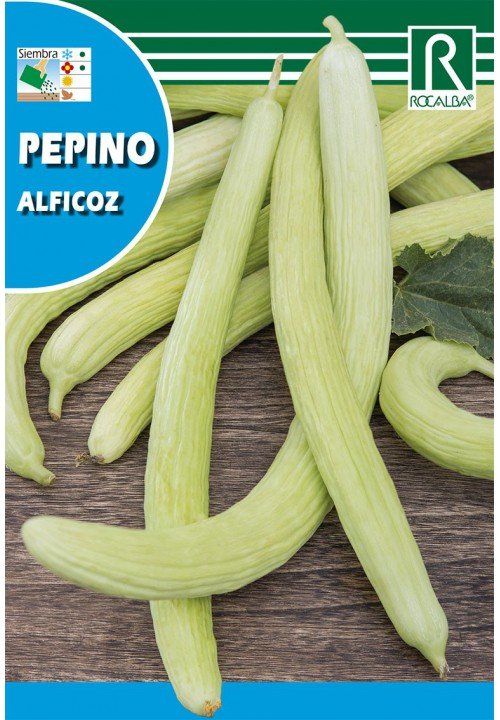 pepino alficoz