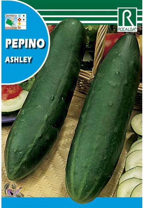 pepino ashley