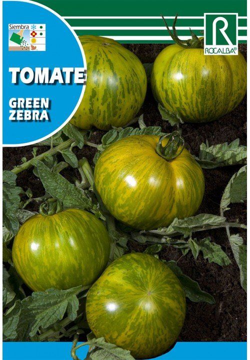 tomate-green-zebra.jpg