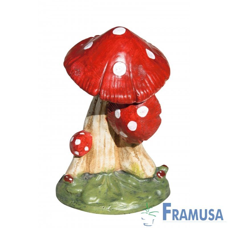 amanita color 1