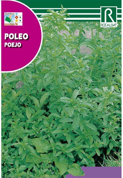 poleo