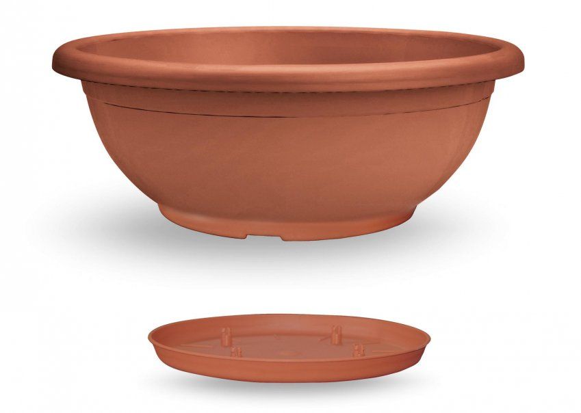 TERRACOTA