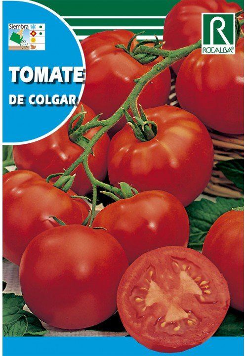 tomate de colgar