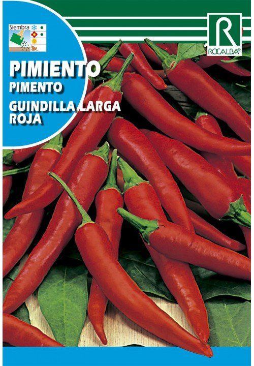 pimiento guindilla larga roja