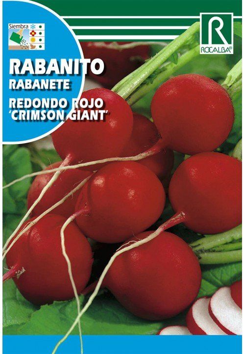 rabanito-redondo-rojo-crimson-giant.jpg