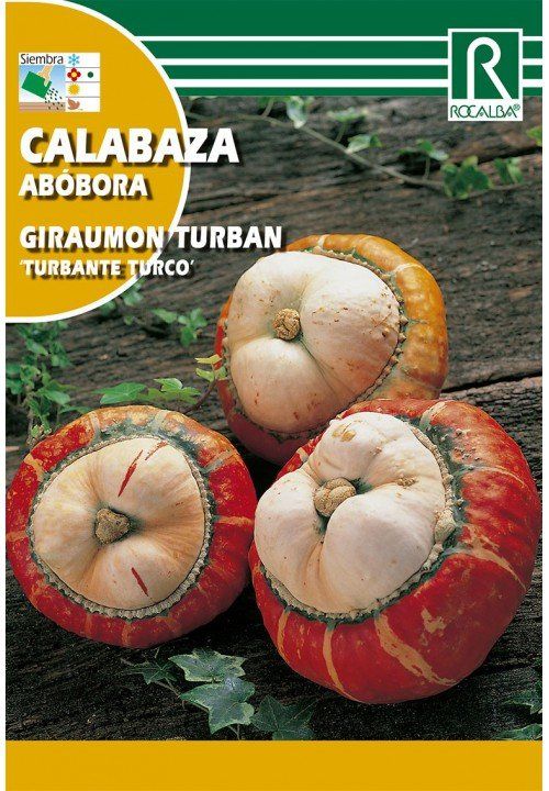 calabaza (3)