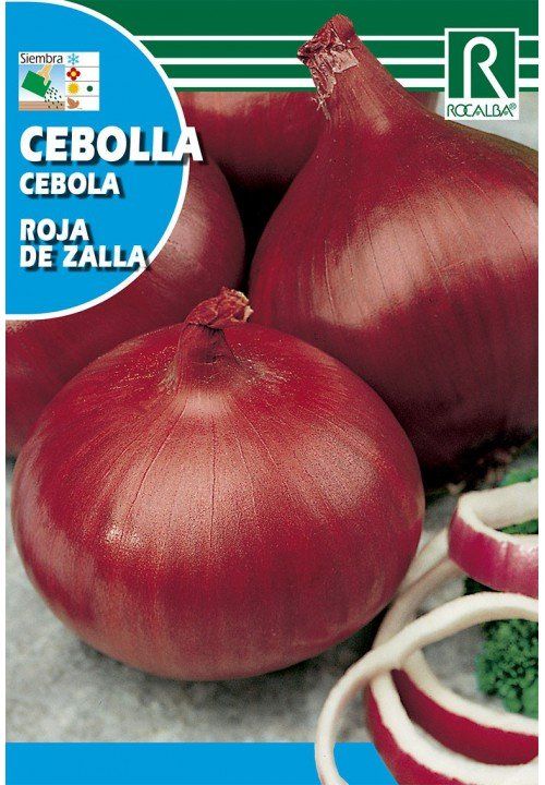 cebolla roja de zalla