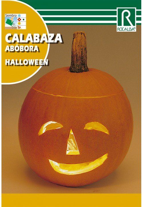 calabaza (1)