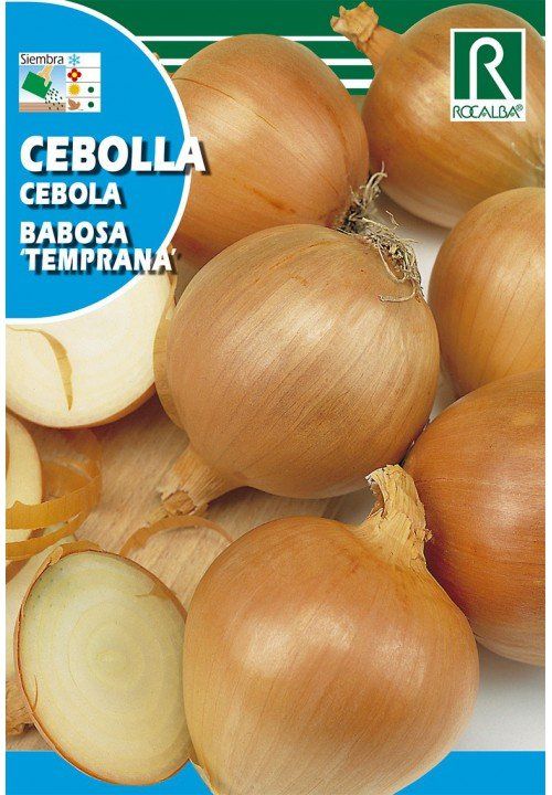 cebolla babosa temprana