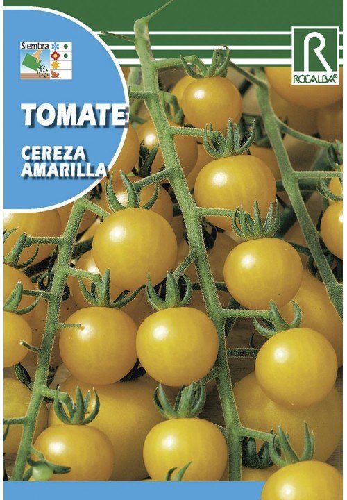 tomate cereza amarilla