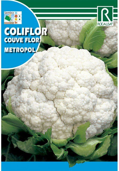 coliflor metropol