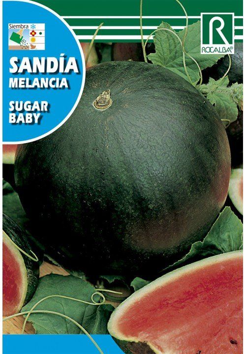 sandia sugar baby