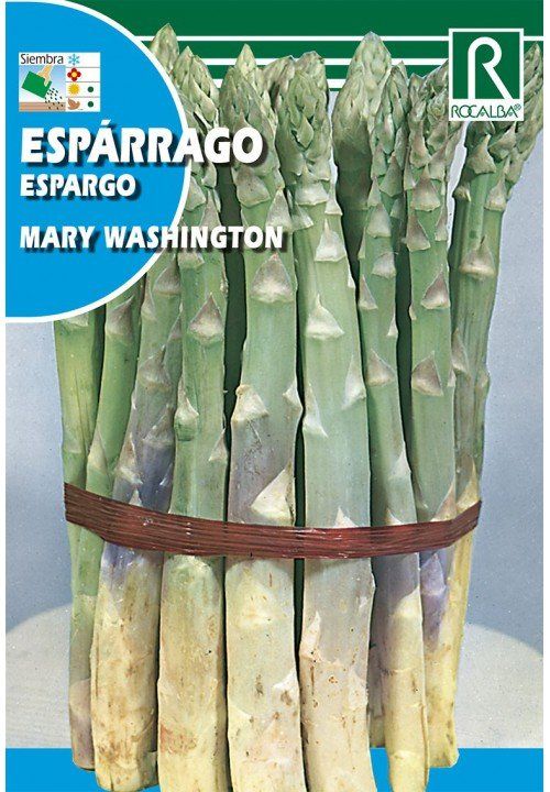 esparrago mary washington