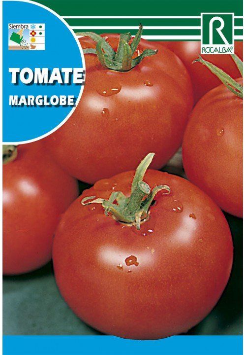 tomate marglobe