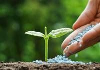Fertilizantes Fertilizantes