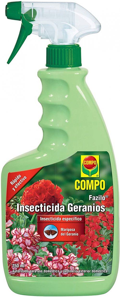 81hfeQzcrnL