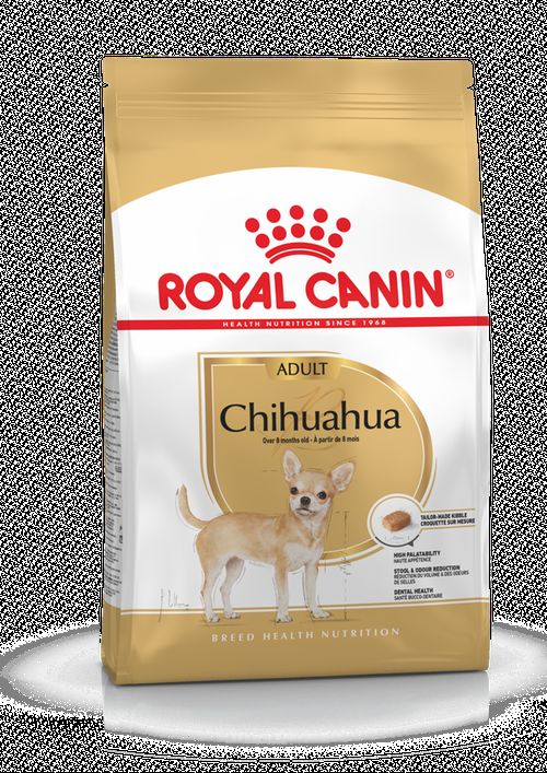 ad chihuahua packshot bhn18