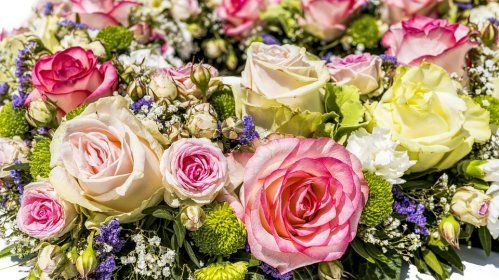 Plantas y flores
