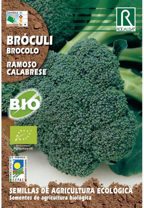 brocoli