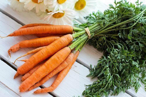 Te animamos a que te inicies en la aventura de cultivar tus propias verduras y hortalizas, y que disfrutes tanto de su cultivo como de su degustación