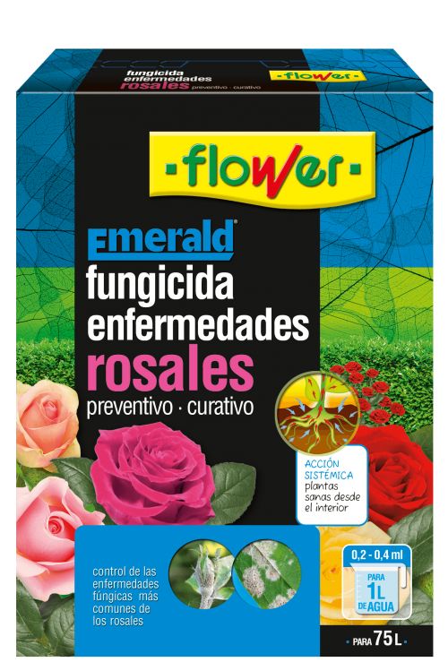 ENFERMEDADES ROSALES 10 ML