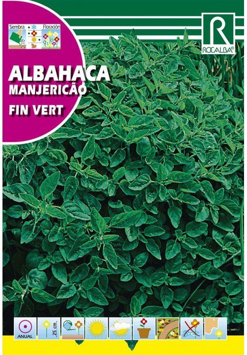 albahaca